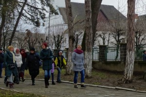 Оглядова екскурсія містом, Виноградів